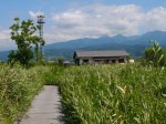 浮島ヶ原自然公園の写真のサムネイル写真6