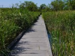 浮島ヶ原自然公園の写真のサムネイル写真7