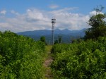 浮島ヶ原自然公園の写真のサムネイル写真11