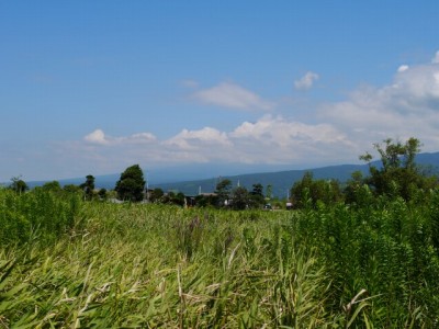 浮島ヶ原自然公園の写真14