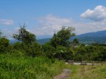 浮島ヶ原自然公園の写真のサムネイル写真14