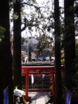 須山浅間神社の写真のサムネイル写真9