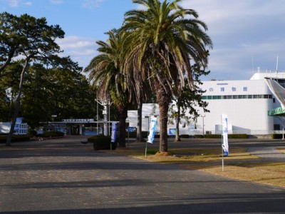 東海大学　海洋科学博物館の写真