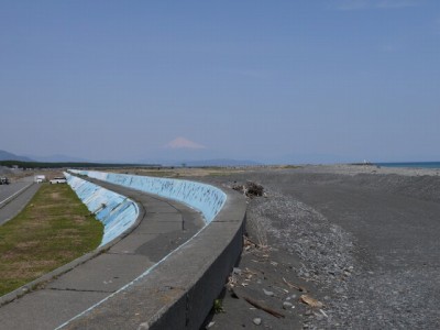 大井川港河口野鳥園の写真3