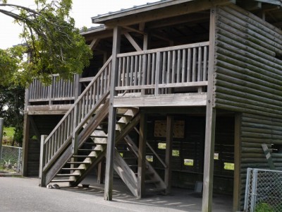 大井川港河口野鳥園の写真9