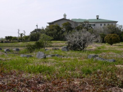 大井川港河口野鳥園の写真11