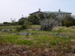 大井川港河口野鳥園の写真のサムネイル写真10