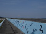 大井川港河口野鳥園の写真のサムネイル写真11