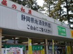 三保の松原・羽衣の松の写真のサムネイル写真20