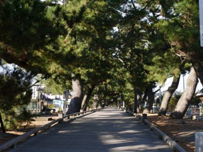 御穂神社の写真