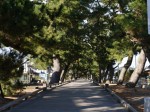 御穂神社の写真のサムネイル写真1