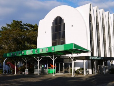 東海大学　自然史博物館（恐竜のはくぶつかん）の写真