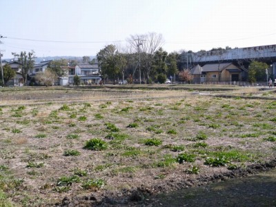 登呂遺跡（登呂公園）の写真