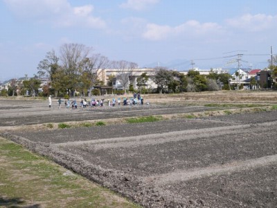 登呂遺跡（登呂公園）の写真3