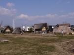 登呂遺跡（登呂公園）の写真のサムネイル写真14