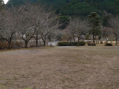 清水森林公園「やすらぎの森」の写真