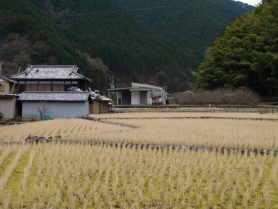 西里温泉（集落）の写真