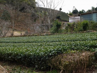 西里温泉（集落）の写真11