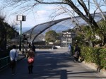日本平動物園の写真のサムネイル写真19