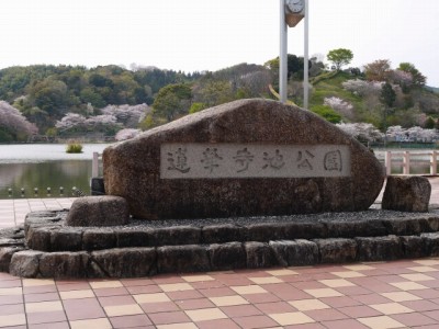 蓮華寺池公園の写真