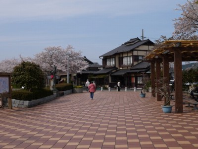 蓮華寺池公園の写真3