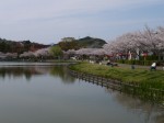 蓮華寺池公園の写真のサムネイル写真4