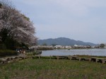 蓮華寺池公園の写真のサムネイル写真12