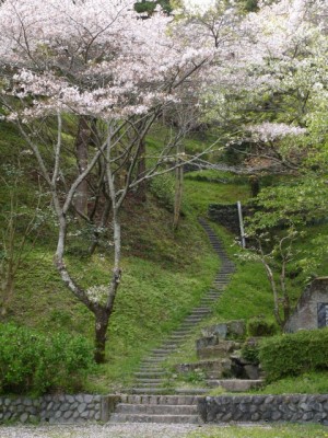 蓮華寺池公園の写真14