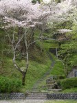 蓮華寺池公園の写真のサムネイル写真13