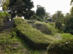 蓮華寺池公園の写真のサムネイル写真14