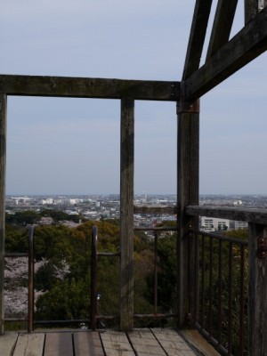 蓮華寺池公園の写真17