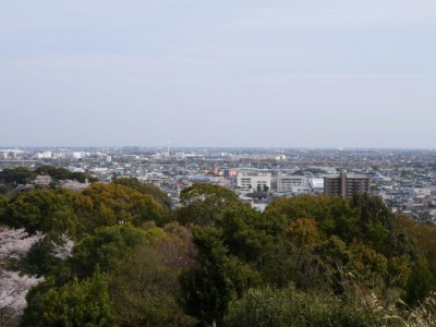 蓮華寺池公園の写真18