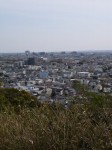 蓮華寺池公園の写真のサムネイル写真18