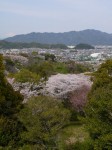 蓮華寺池公園の写真のサムネイル写真19