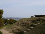 蓮華寺池公園の写真のサムネイル写真20