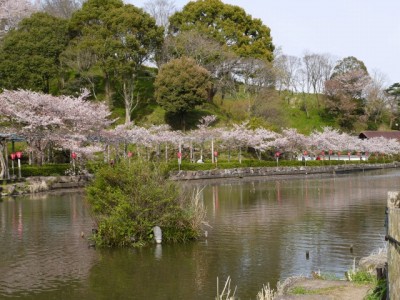 蓮華寺池公園の写真25