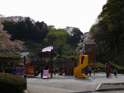 蓮華寺池公園の写真26