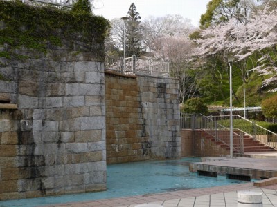 蓮華寺池公園の写真27