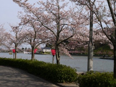 蓮華寺池公園の写真28