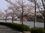 蓮華寺池公園の写真のサムネイル写真27