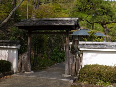 蓮華寺池公園の写真29