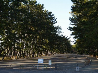 石津浜公園の写真