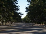 石津浜公園の写真のサムネイル写真5