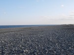 石津浜公園の写真のサムネイル写真8