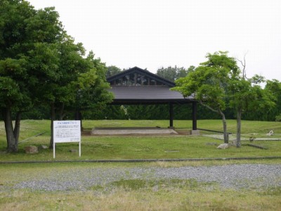 遠州灘海浜公園の写真6