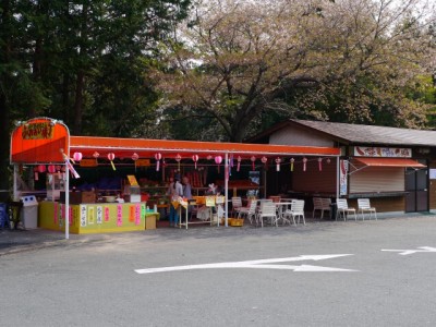 竜ヶ岩洞の写真