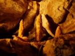 竜ヶ岩洞の写真のサムネイル写真3