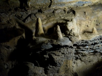 竜ヶ岩洞の写真10