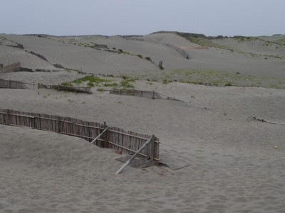 中田島砂丘の写真3