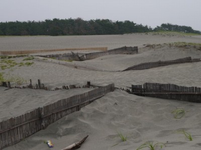 中田島砂丘の写真7